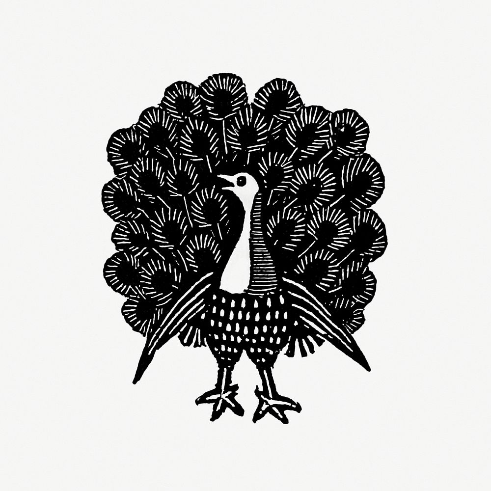 Vintage Victorian style peacock engraving. Original from the British Library. Digitally enhanced by rawpixel.