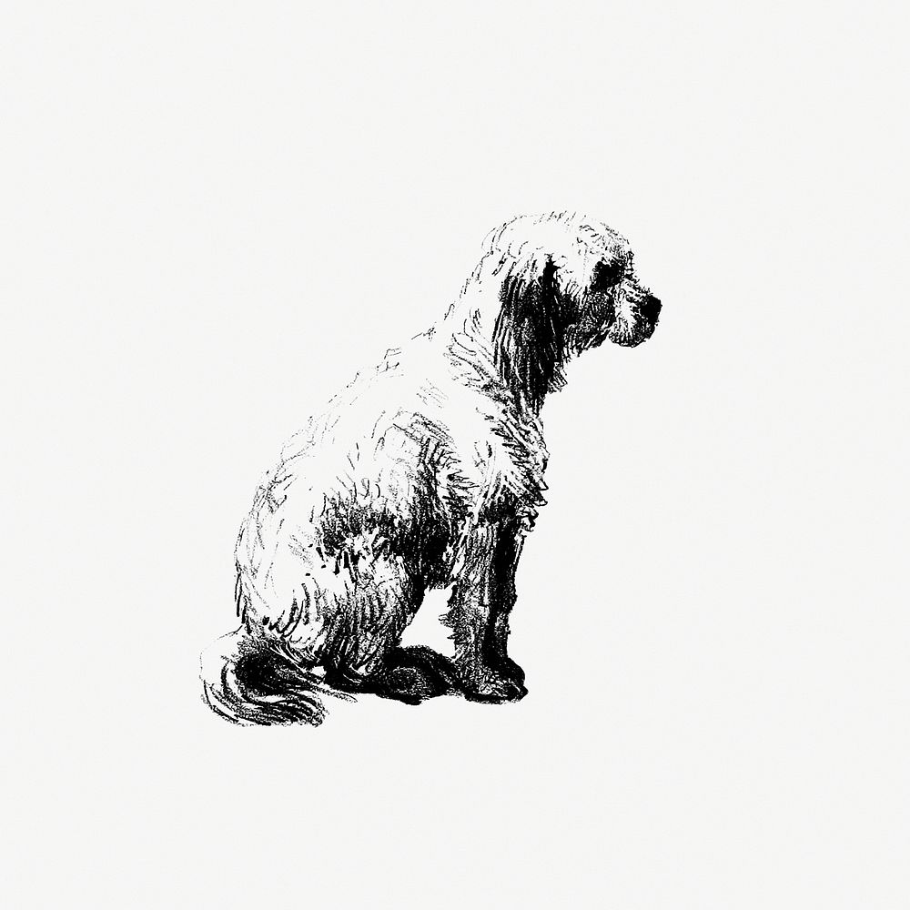 Vintage European style dog engraving | Free Photo Illustration - rawpixel