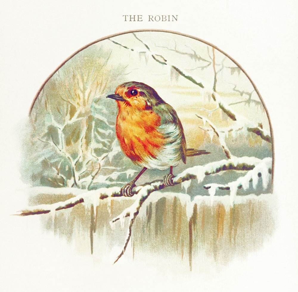 Winter bird illustration from Nursery Songs (1893) by Jessie Hall. Original from the British Library. Digitally enhanced by…
