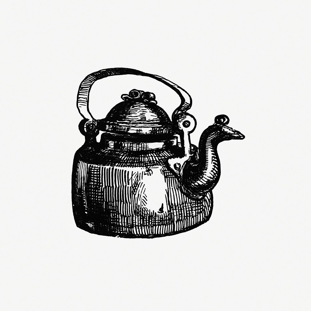 Vintage Tea Kettle Hand Draw Engraving Illustration Black And