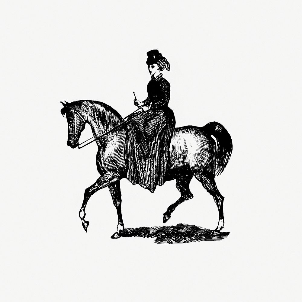 Vintage European style horseback riding of a lady engraving from London (illustrated). A complete guide to the leading…