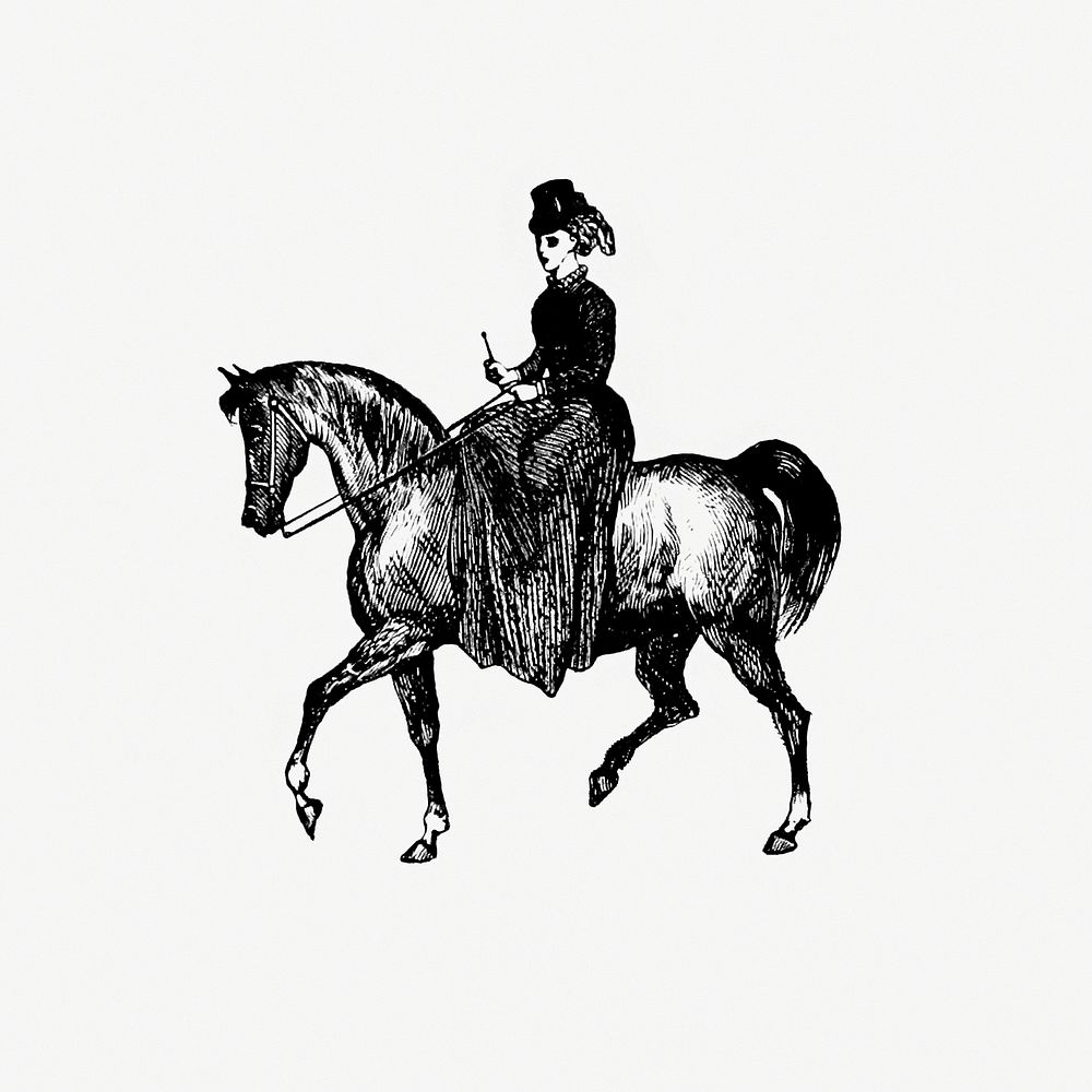 Vintage European style horseback riding of a lady engraving from London (illustrated). A complete guide to the leading…
