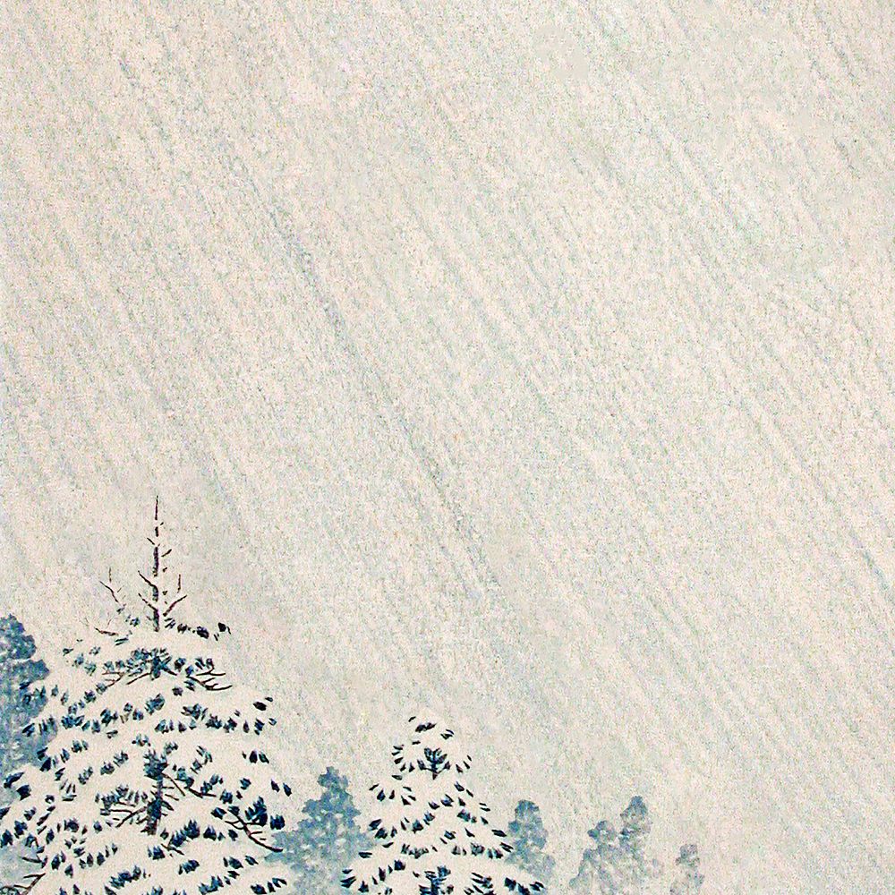 Snow-covered pine forest background illustration