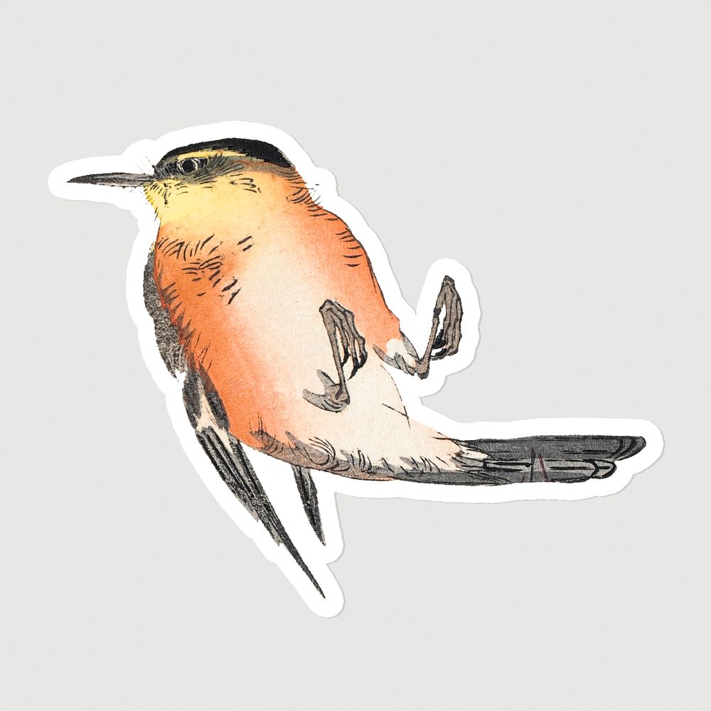 Vintage illustration of a songbird sticker on gray background