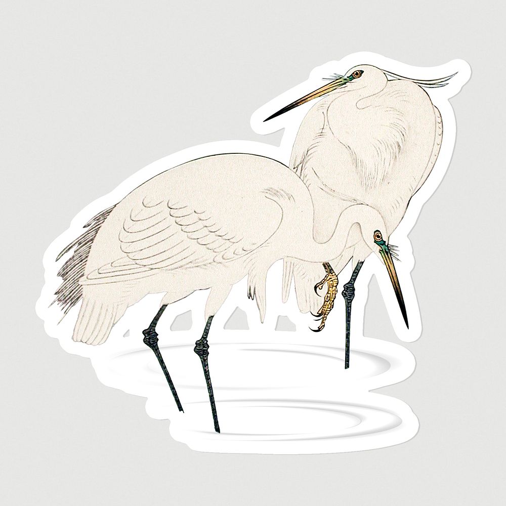 Egret birds sticker with a white border illustration mockup