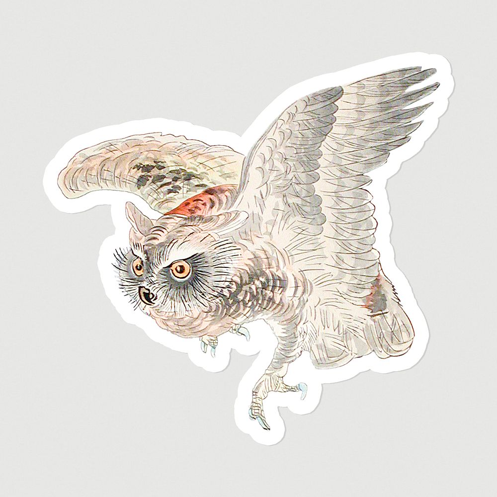 Vintage illustration of scops owl sticker on off white background