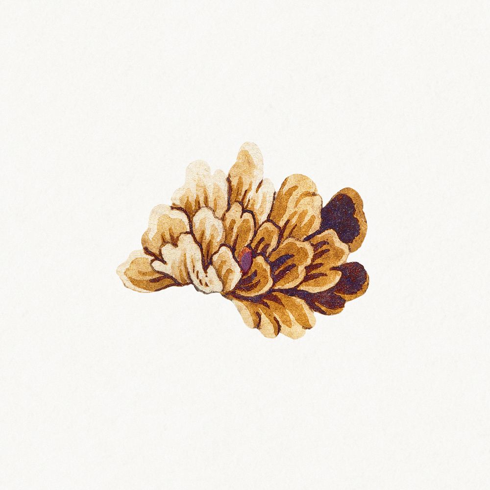Vintage brown flower design element