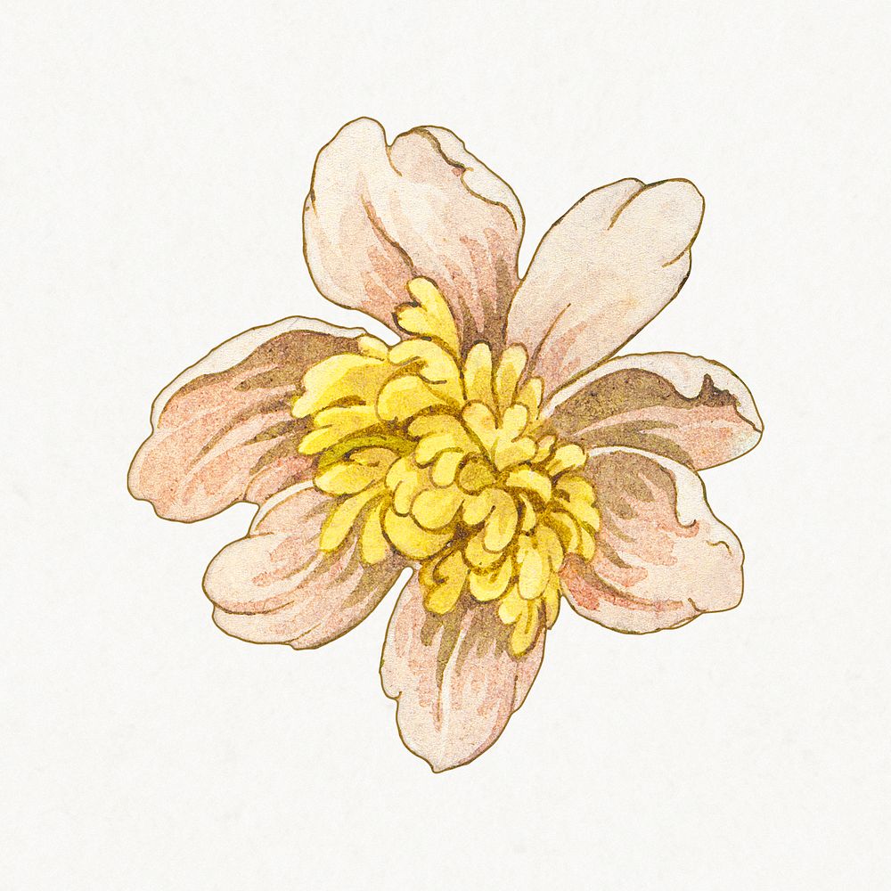 Vintage blooming yellow flower design element