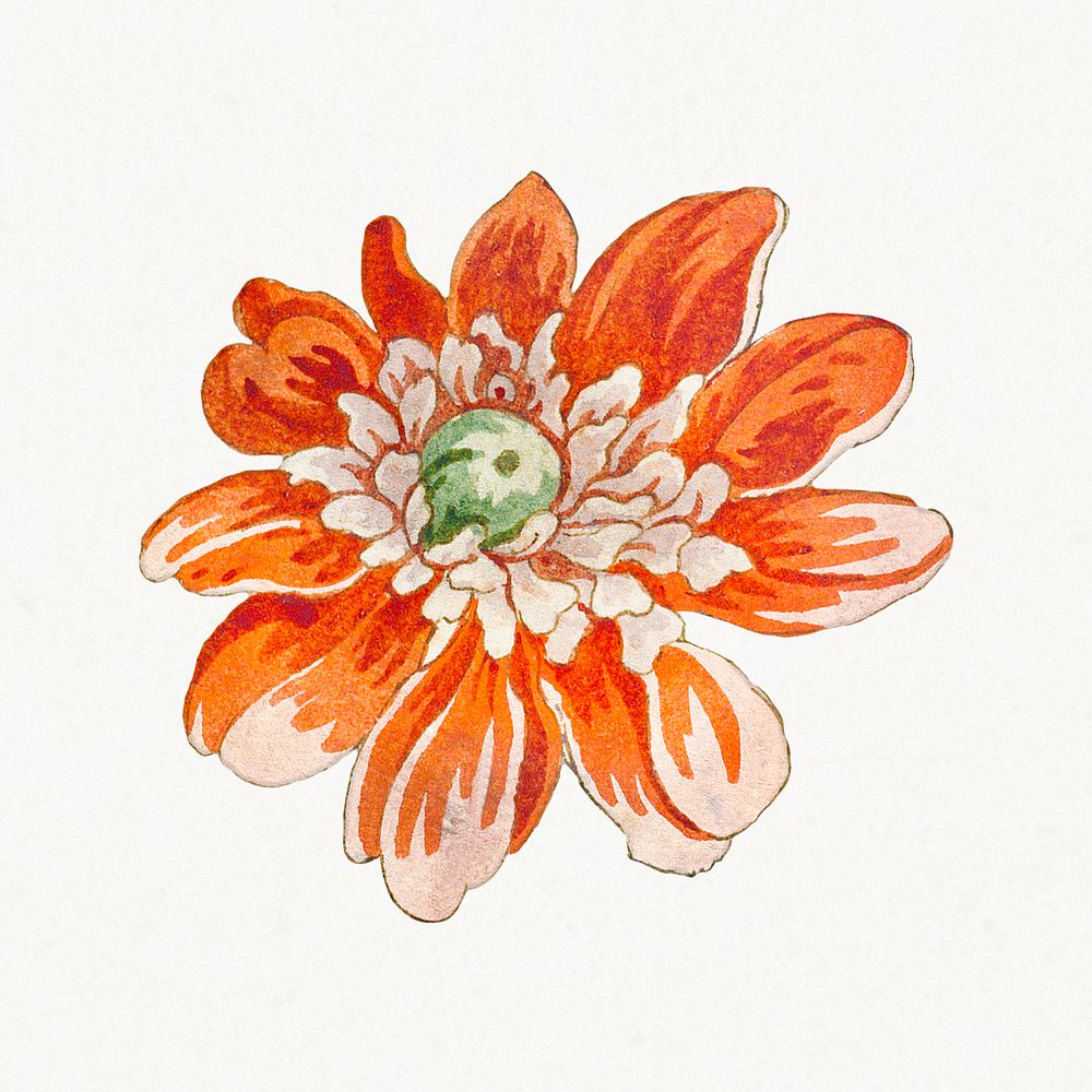 Vintage blooming orflower design element
