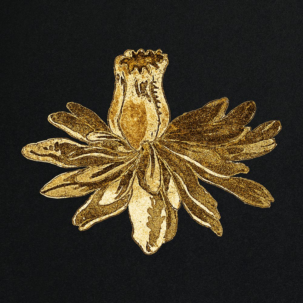 Vintage gold blooming flower design element
