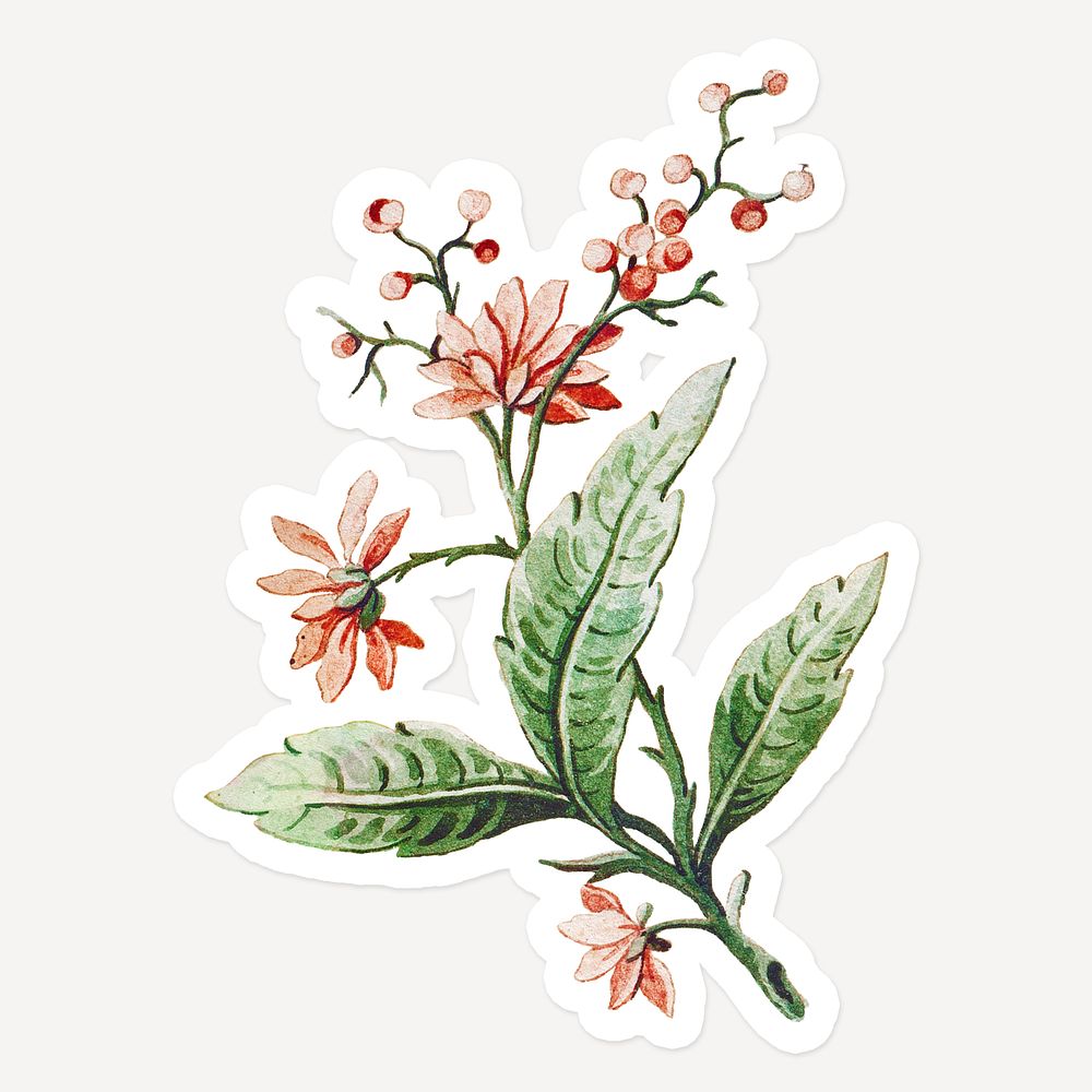 Vintage pink flower sticker with white border