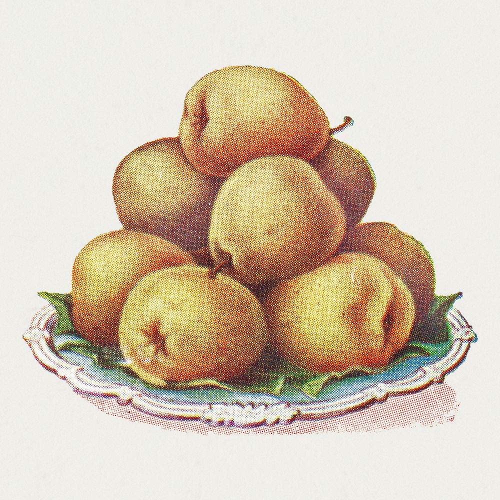 Vintage hand drawn pears illustration 