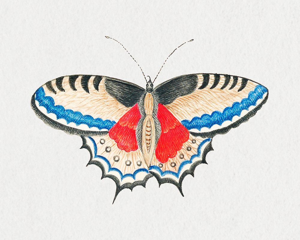Butterfly, remixed from the 18th-century artworks from the Smithsonian archive.