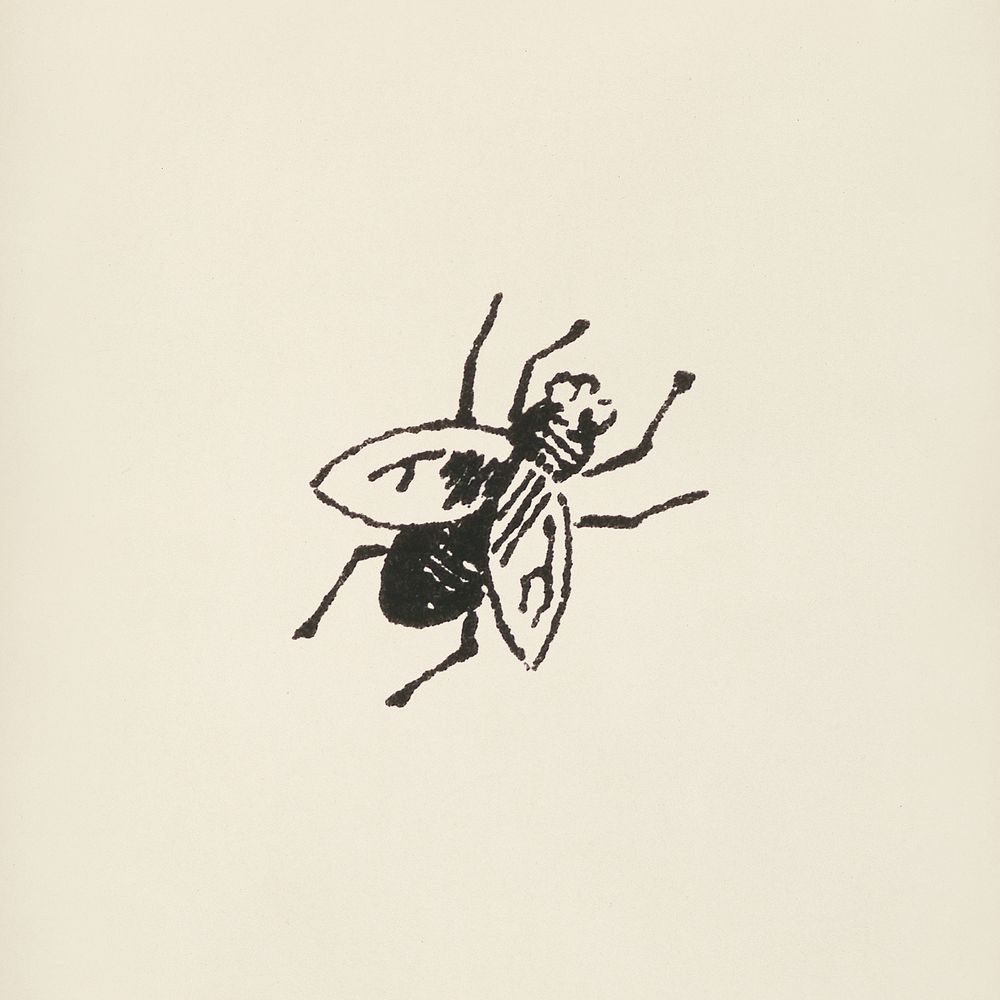 Fly icon from L'ornement Polychrome (1888) by Albert Racinet (1825&ndash;1893). Digitally enhanced from our own original…