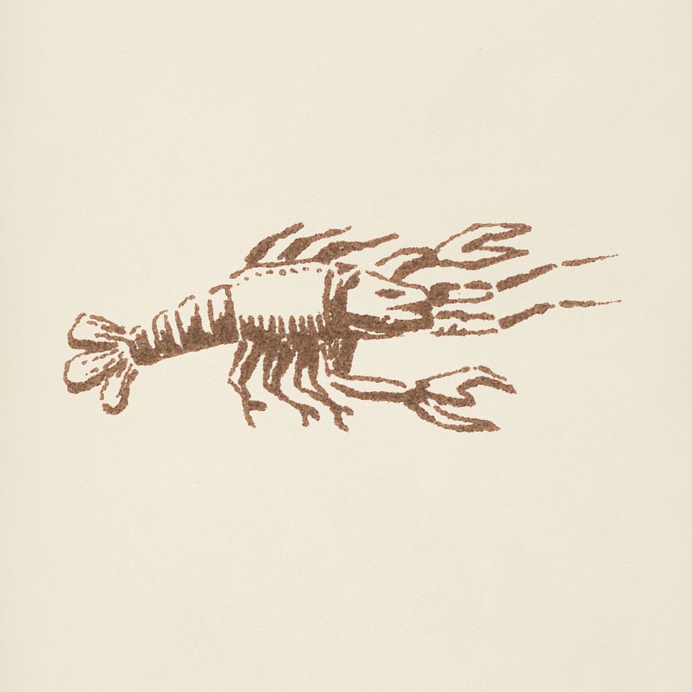 Lobster icon from L'ornement Polychrome (1888) by Albert Racinet (1825&ndash;1893). Digitally enhanced from our own original…