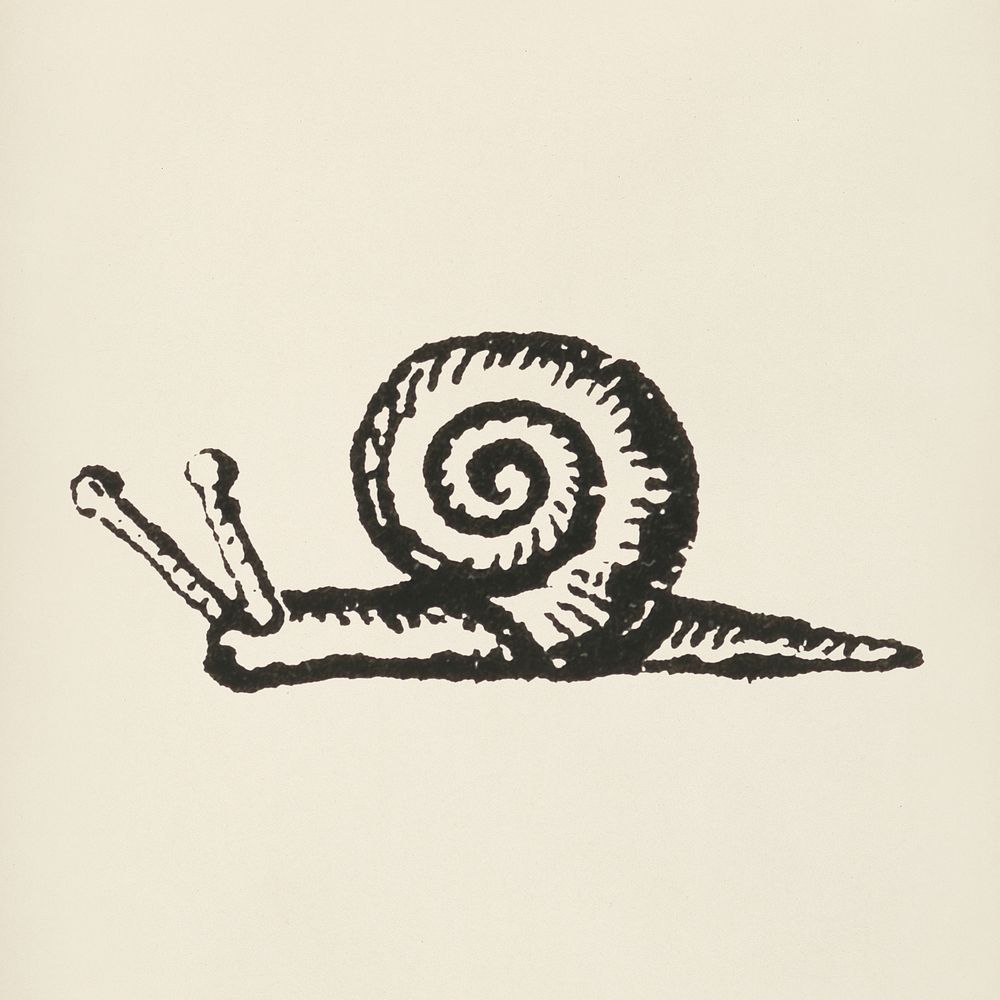 Snail icon from L'ornement Polychrome (1888) by Albert Racinet (1825&ndash;1893). Digitally enhanced from our own original…