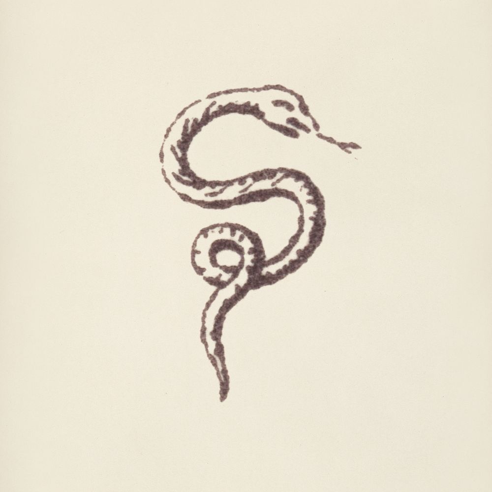 Snake icon from L'ornement Polychrome (1888) by Albert Racinet (1825&ndash;1893). Digitally enhanced from our own original…