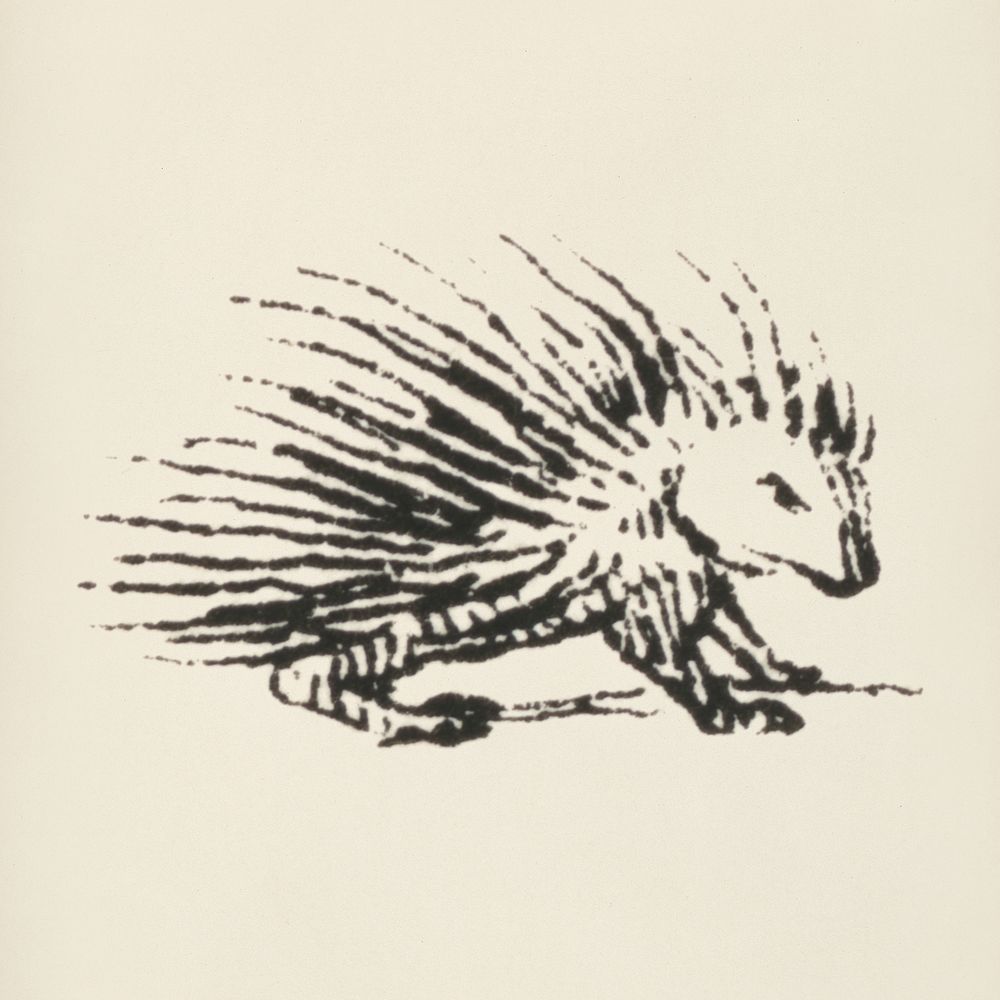 Porcupine icon from L'ornement Polychrome (1888) by Albert Racinet (1825&ndash;1893). Digitally enhanced from our own…