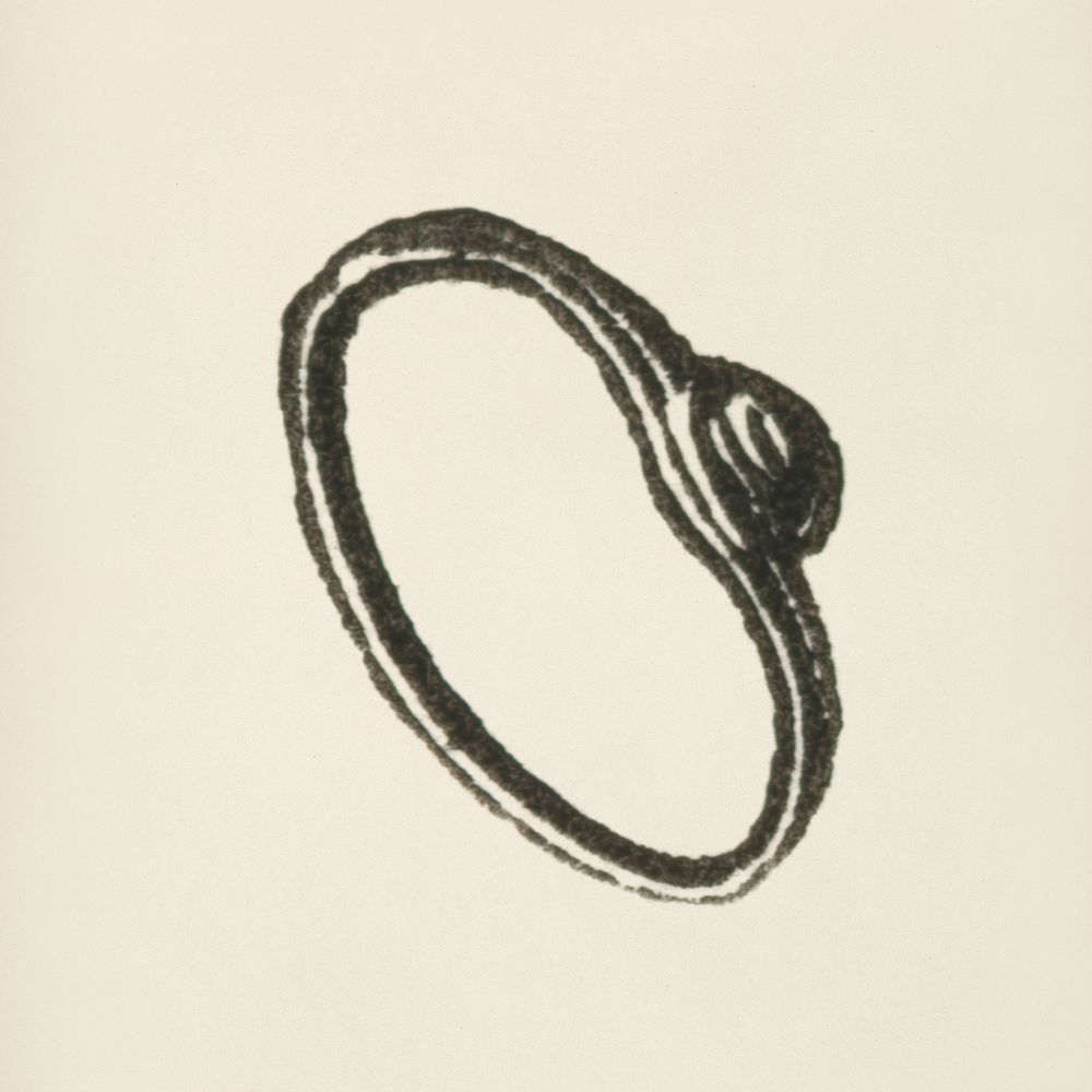 Ring icon from L'ornement Polychrome (1888) by Albert Racinet (1825&ndash;1893). Digitally enhanced from our own original…