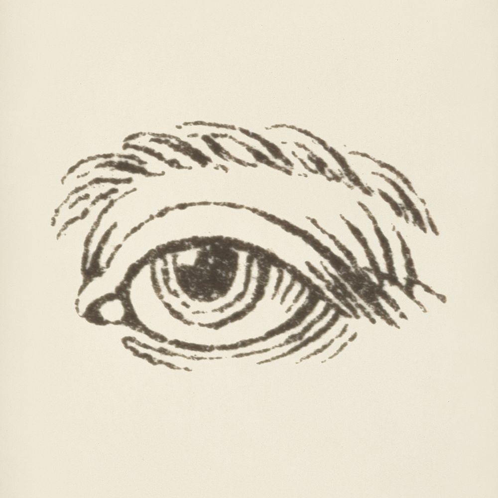 Eye icon from L'ornement Polychrome (1888) by Albert Racinet (1825&ndash;1893). Digitally enhanced from our own original…