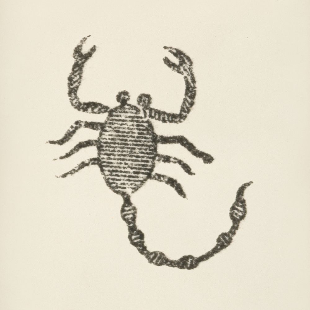 Scorpion icon from L'ornement Polychrome (1888) by Albert Racinet (1825&ndash;1893). Digitally enhanced from our own…