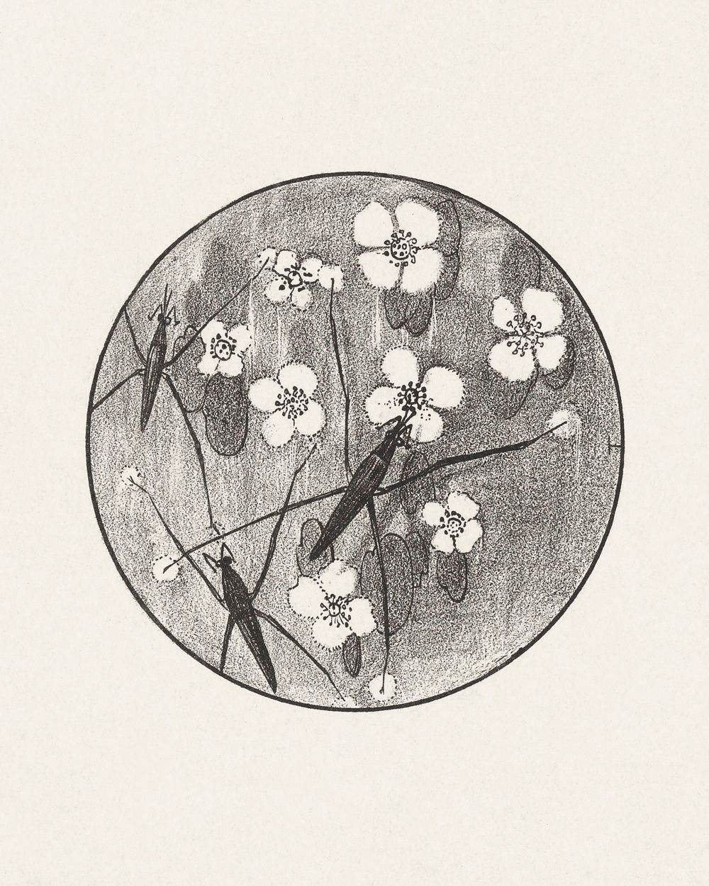 Aankondiging met insecten en bloemen voor serie 'Dierstudies' (1878&ndash;1898) print in high resolution by Theo van…