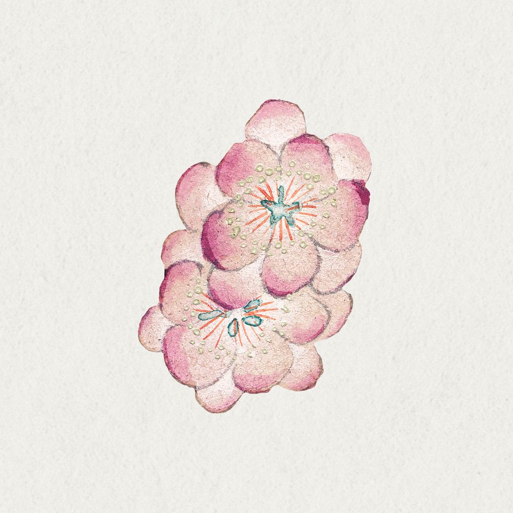 VintageChinese plum blossom, remix from artworks by Zhang Ruoai