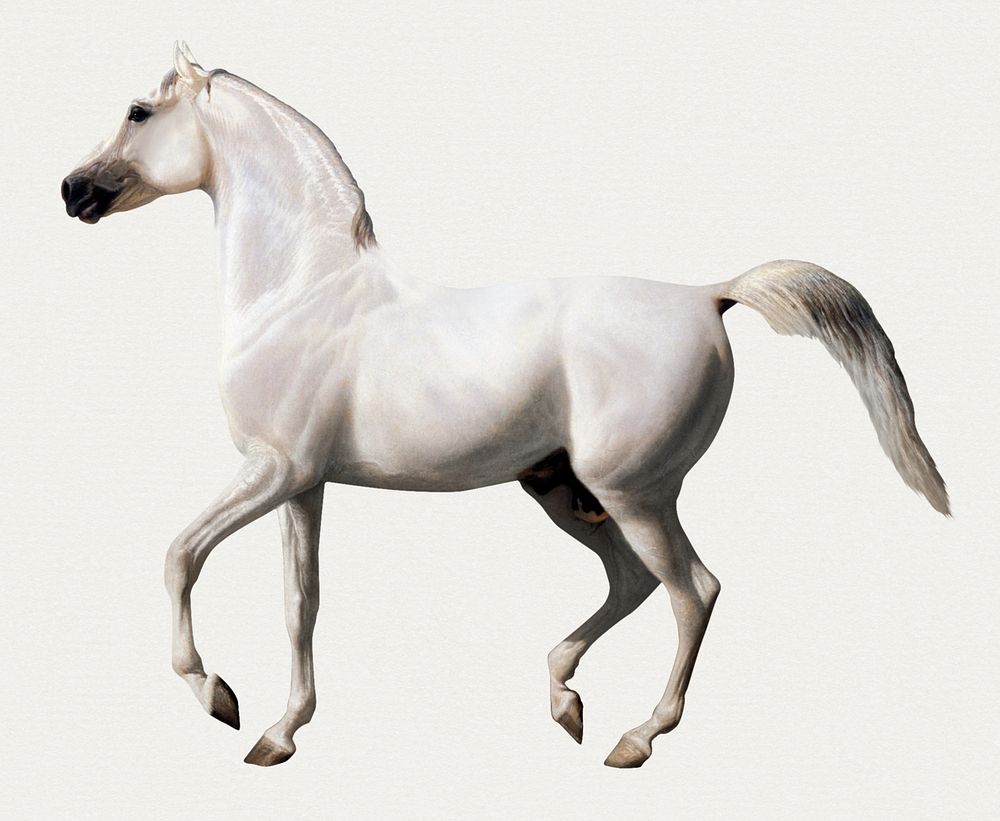 Vintage horse psd illustration, remixed from artworks by Jacques-Laurent Agasse