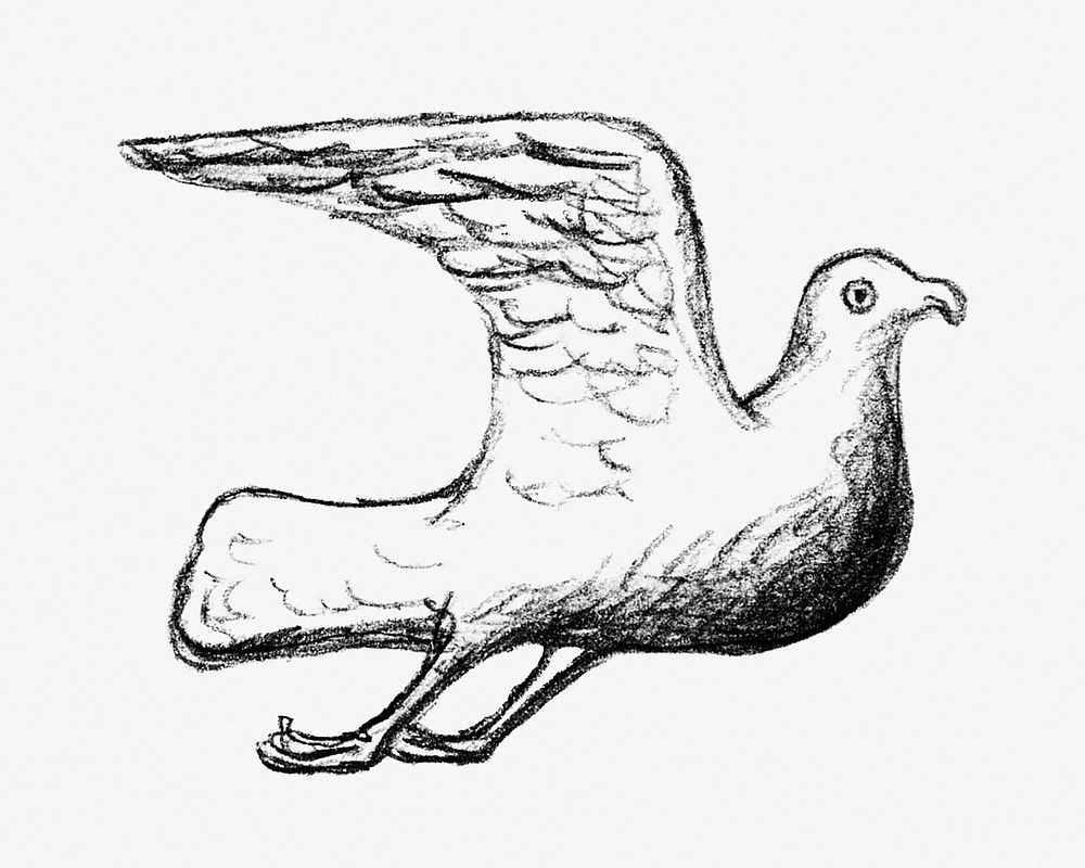 Pigeon psd vintage drawing, remixed from artworks from Leo Gestel