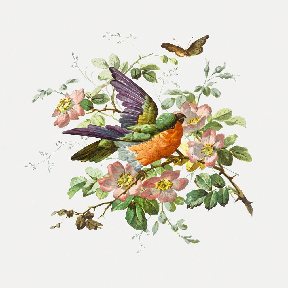 Birthday card illustration of decorative birds, flowers, and butterflies