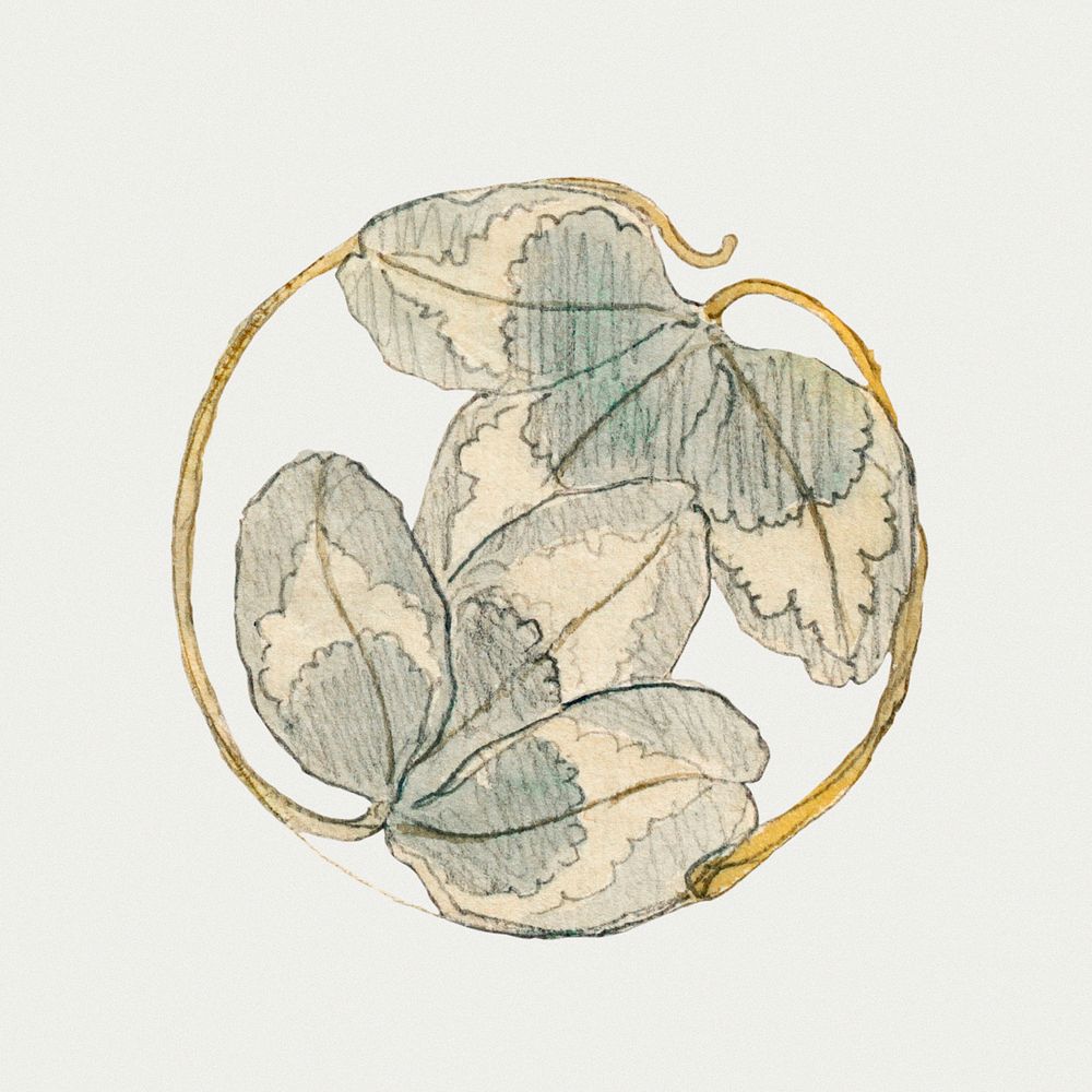 Vintage leaf element hand drawn style in green color, remixed from artworks by Samuel Colman