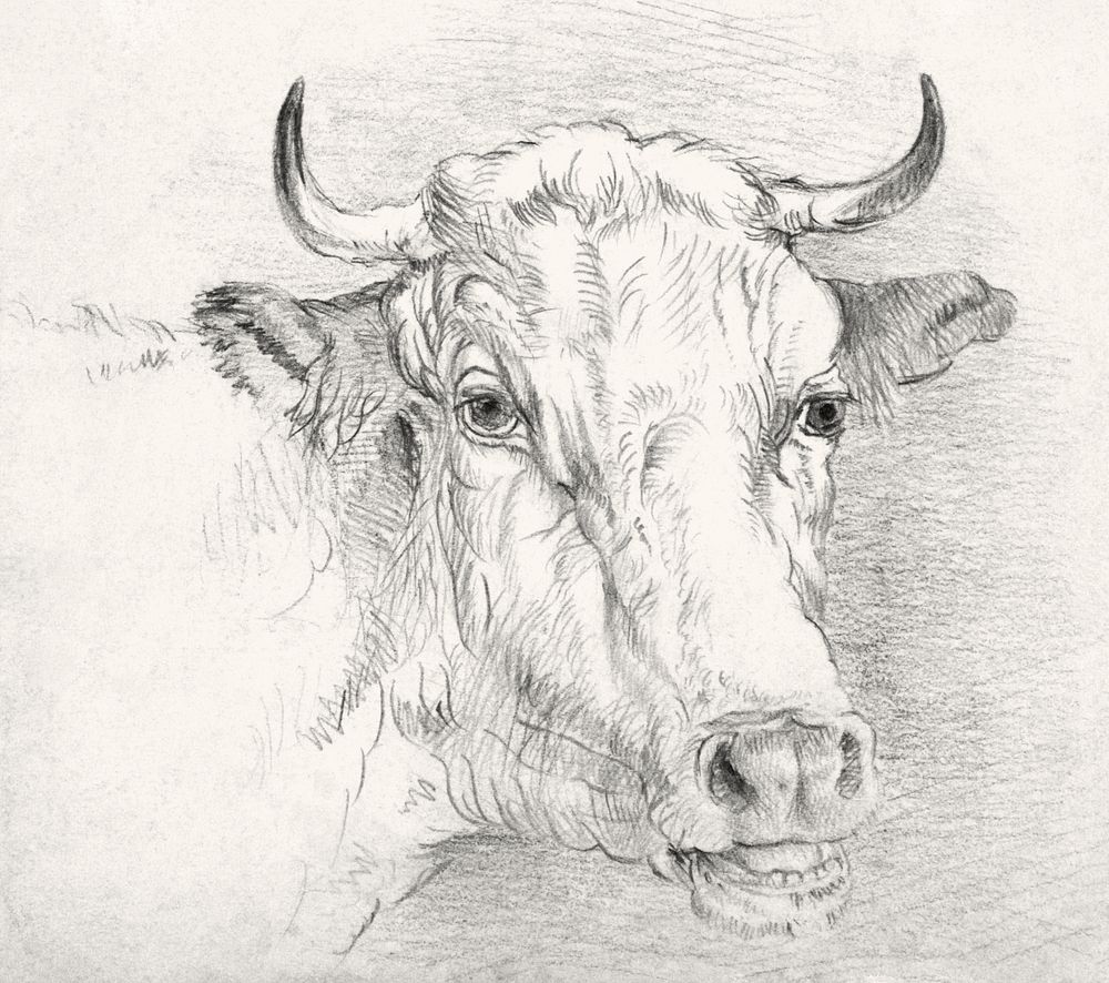 Head of a Cow (1860–1870) by Samuel Colman. Original from The Smithsonian Institution. Digitally enhanced by rawpixel.