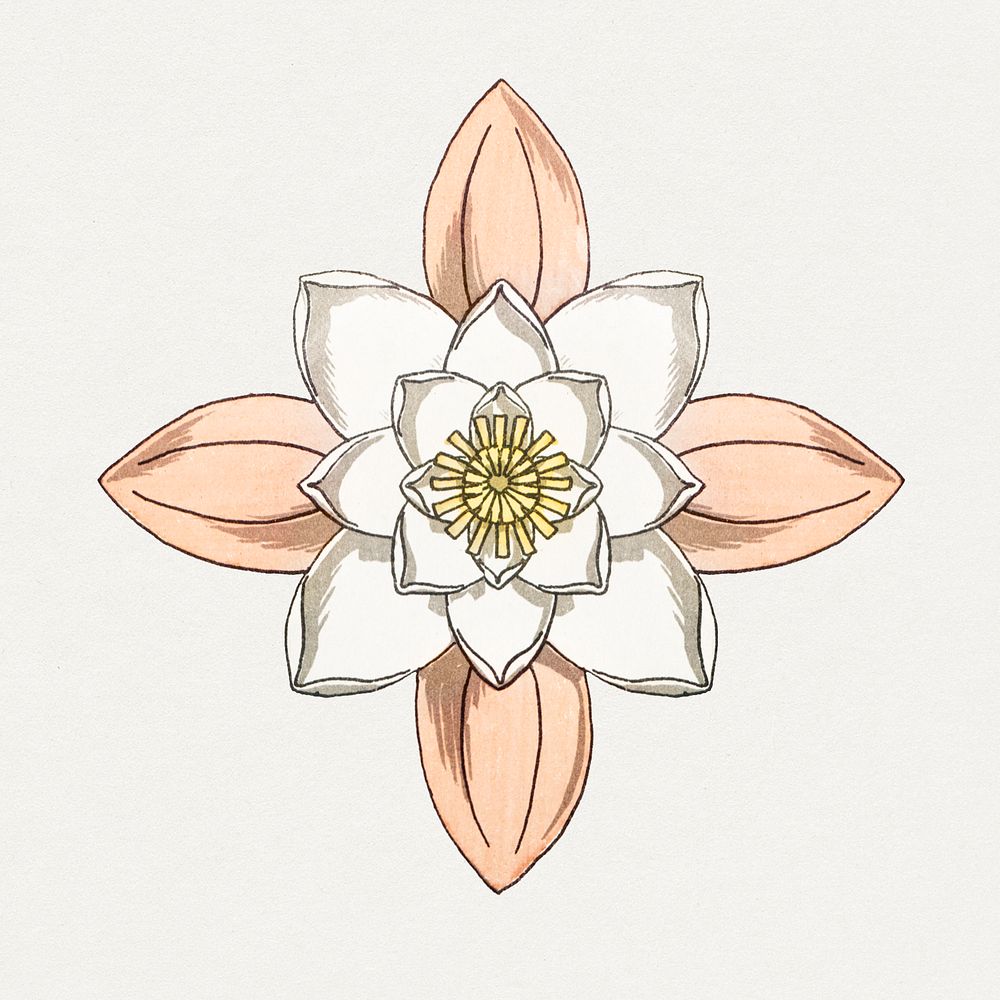 Vintage water lily flower design element