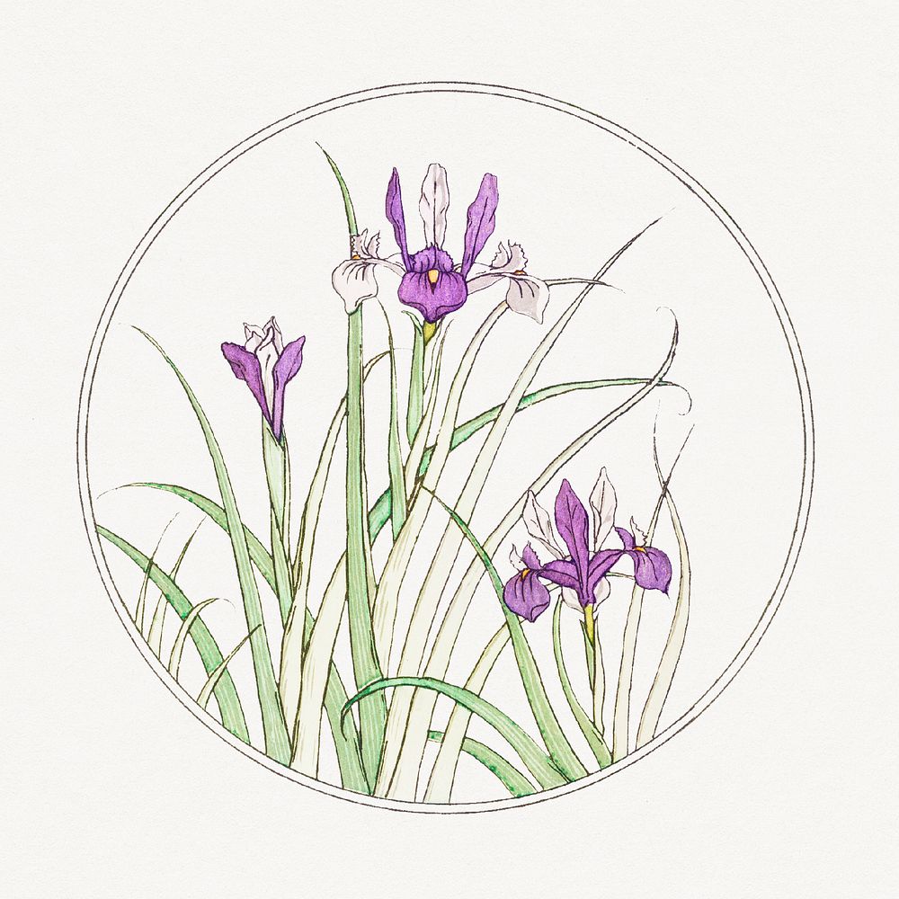 Vintage iris flower in round frame design element