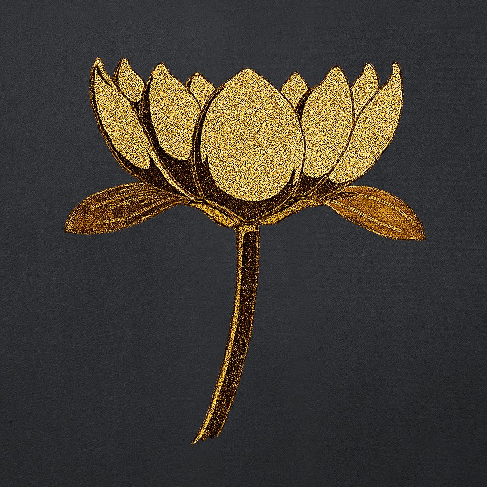 Vintage gold water lily flower design element