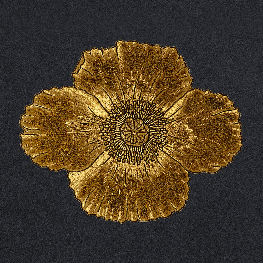 Vintage gold poppy flower design element