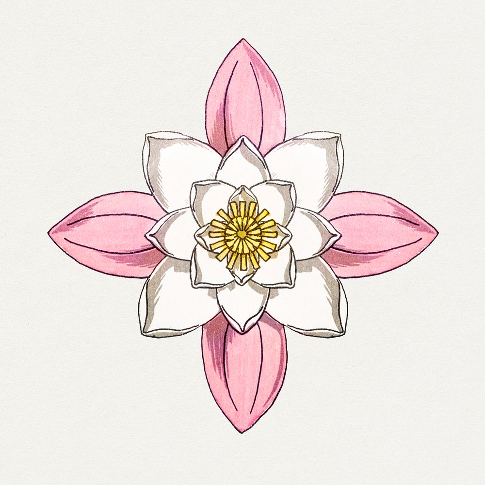 Vintage water lily flower design element