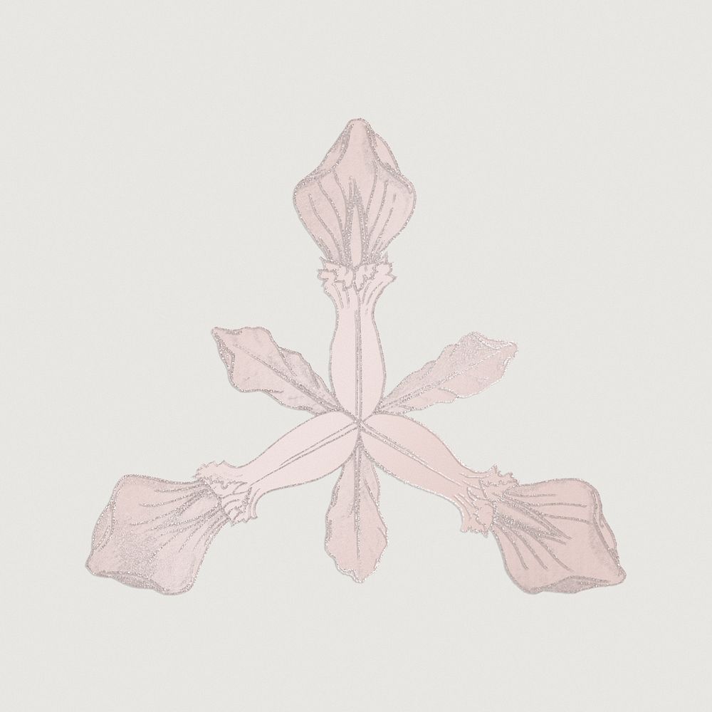 Simple hand drawn iris flower design resource