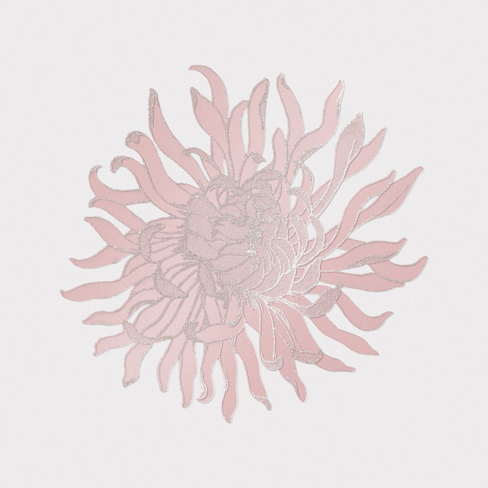 Vintage chrysanthemum flower design element