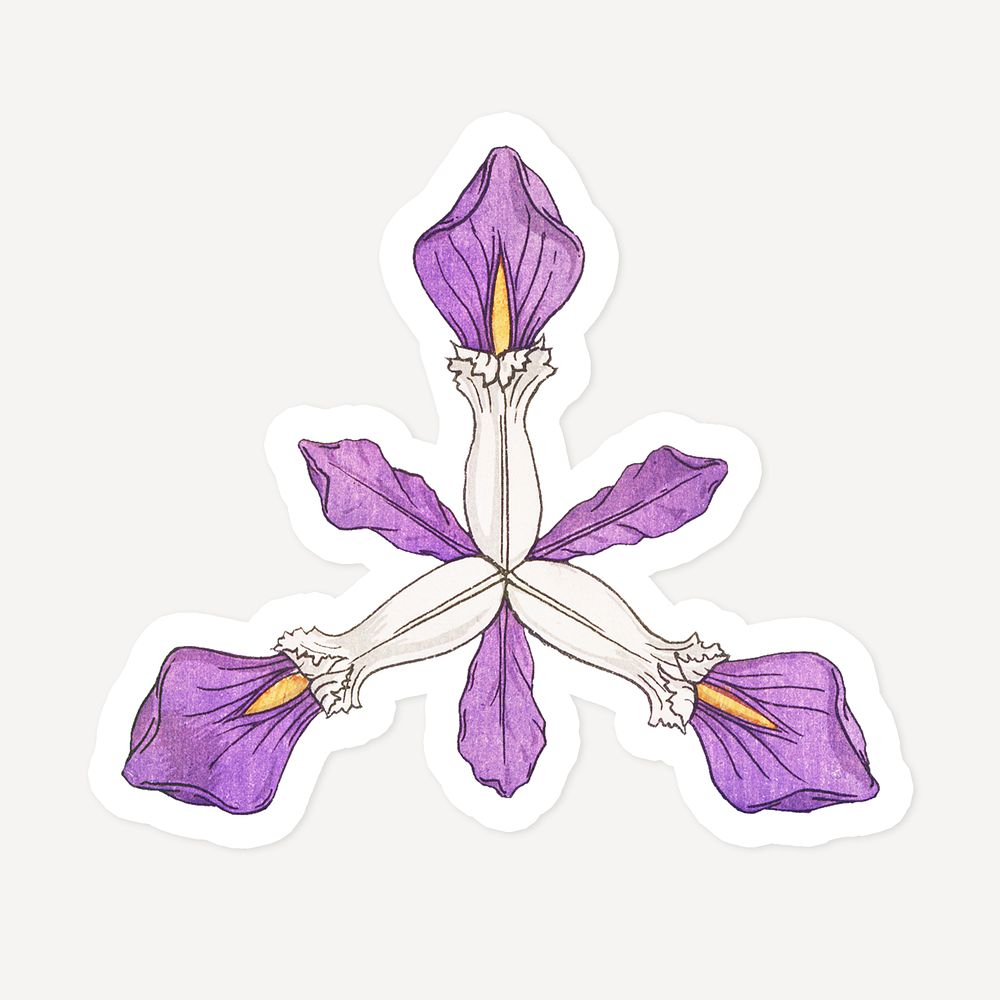 Vintage iris flower sticker with white border design element
