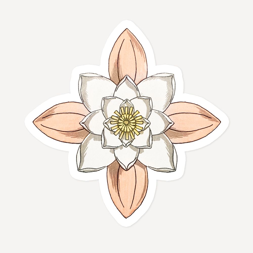 Vintage water lily flower sticker with white border design element