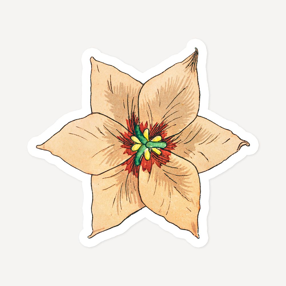 Vintage crown imperial flower sticker with white border design element
