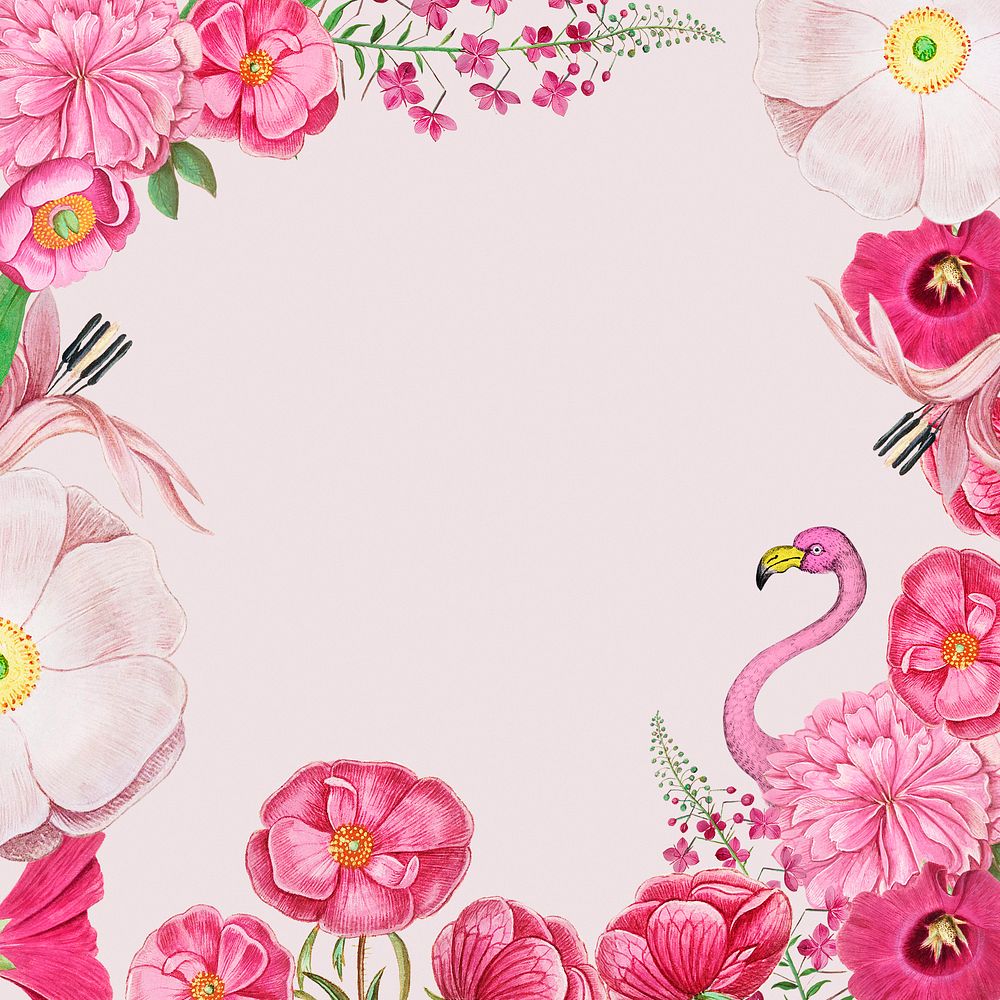 Vintage flowers and pink flamingo border frame vector