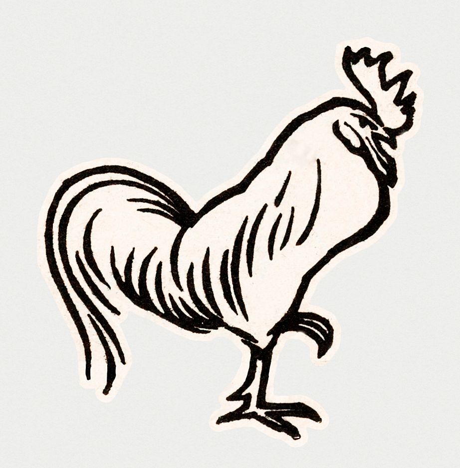 Vintage Illustration of Rooster.