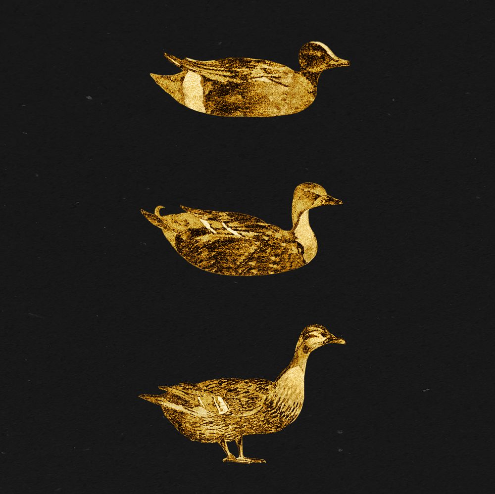 Vintage gold duck collection design elements