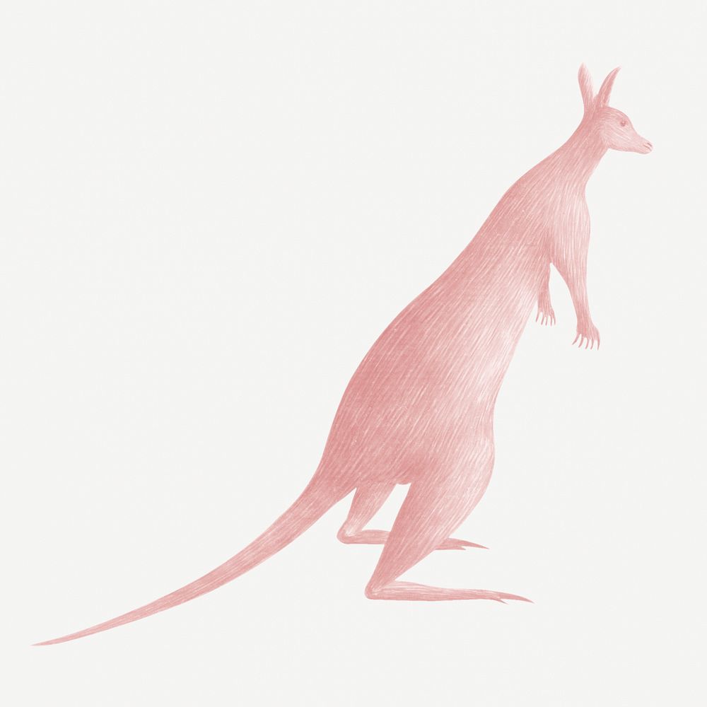 Pink kangaroo vintage illustration template
