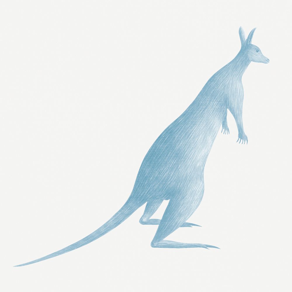 Blue kangaroo vintage illustration template