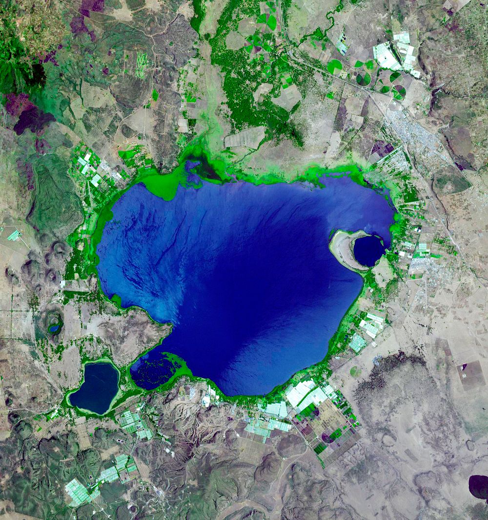 Lake Naivasha, 90km north-west of Nairobi. Original from NASA. Digitally enhanced by rawpixel.