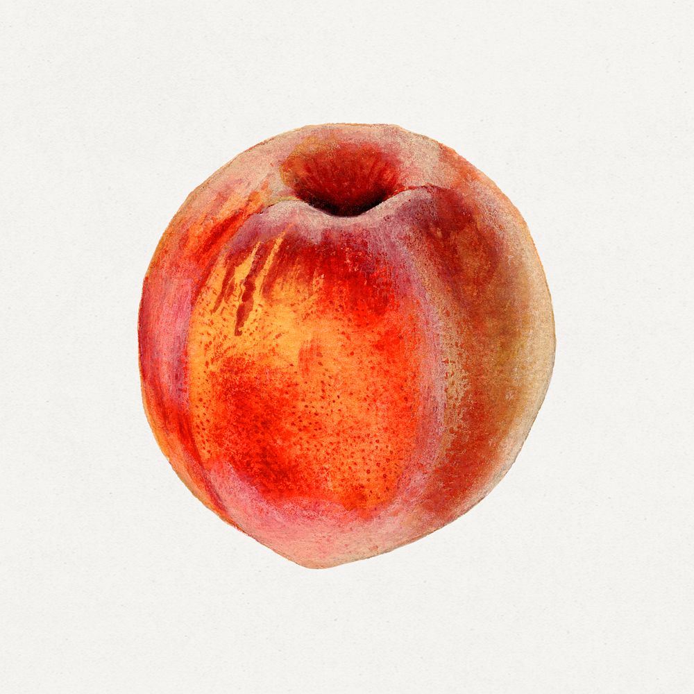 Vintage peach illustration mockup. Digitally | Premium PSD - rawpixel