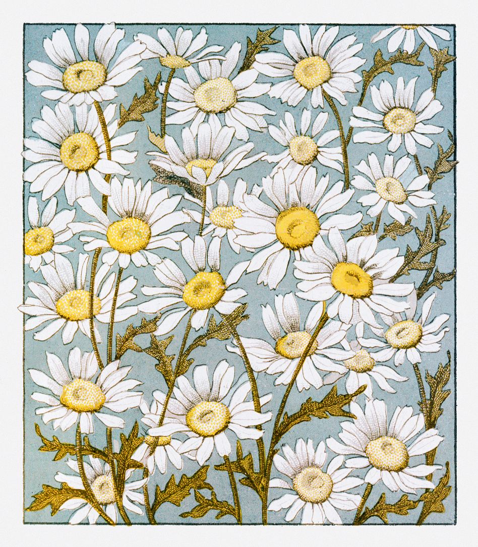 Card Depicting Flowers in Blue Background (1865&ndash;1899) by L. Prang & Co. Original from The New York Public Library.…